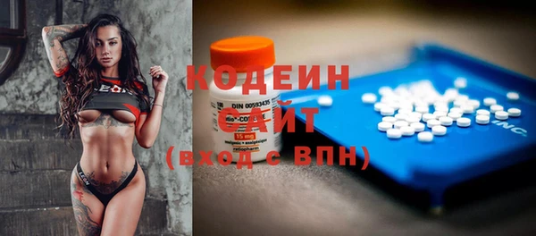 метадон Гусев