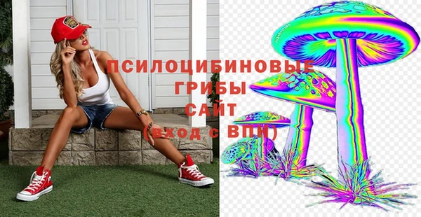 метадон Гусев