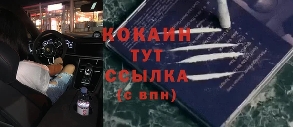 метадон Гусев