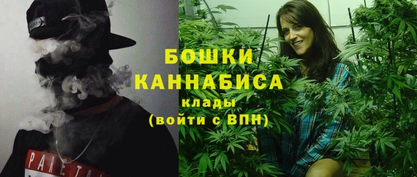 метадон Гусев