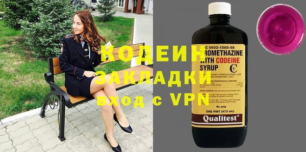 метадон Гусев