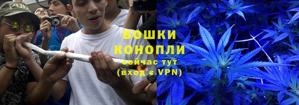 метадон Гусев