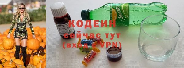метадон Гусев